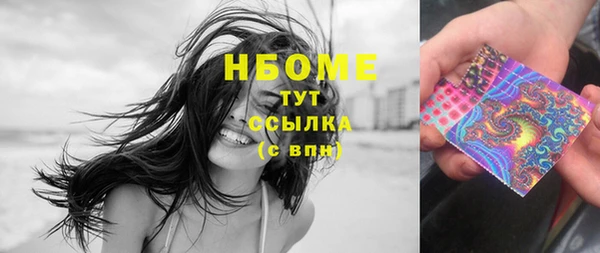 ПСИЛОЦИБИНОВЫЕ ГРИБЫ Осинники