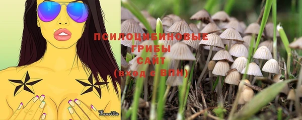 мяу мяу мука Алексин