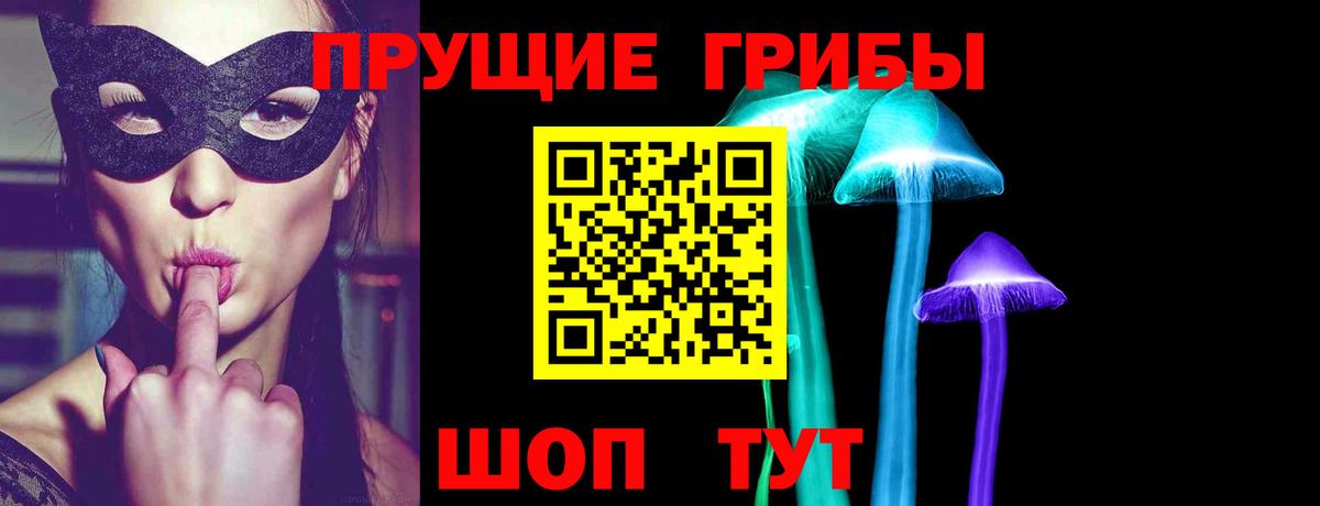 Пермь  Псилоцибиновые грибы прущие грибы  Вход с VPN 